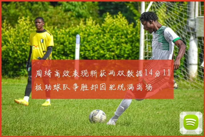 周琦高效表现斩获两双数据14分11板助球队争胜却因犯规满离场