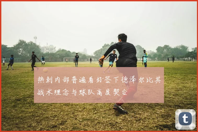 热刺内部普遍看好签下德泽尔比其战术理念与球队高度契合