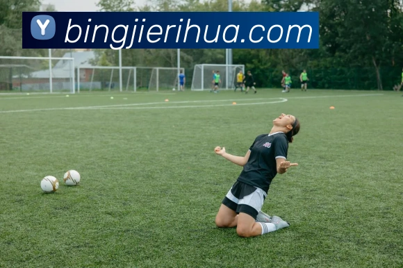 星空体育登录官网入口发展历程